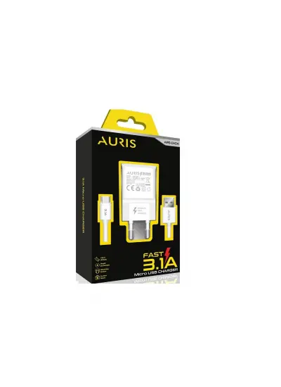 Auris CH04 3.1A Micro Hızlı Şarj Seti