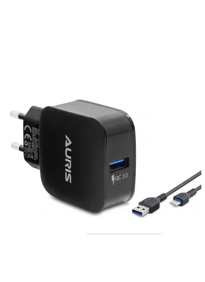 Aurıs Ars-Ch15a 3A Type-c Usb Ev Şarj Kablosu Seti -siyah