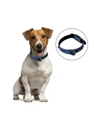 Yumuşak Dokulu Deri Köpek Gezdirme Boyun Tasması (Large) (4767) - CBT5882-9533