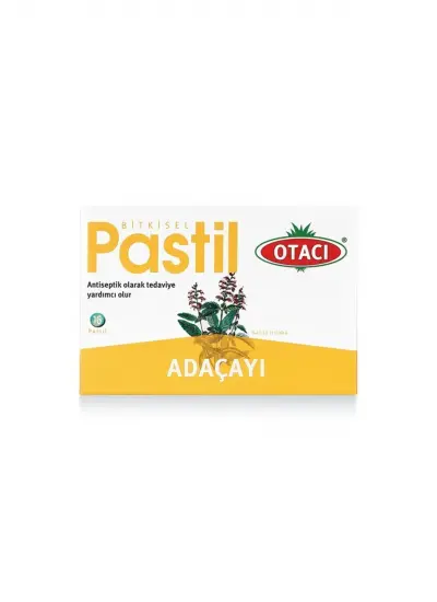 Adaçayı Salvia Pastıl 16 Adet