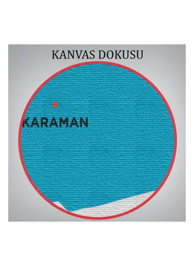 Karaman İli ve İlçeler Haritası  Dekoratif Kanvas Tablo 1378