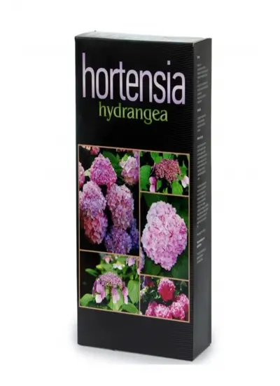 Hortensia Ortanca Besini