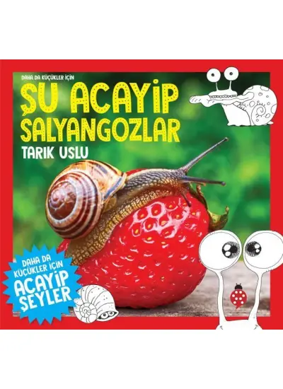 Daha Küçükler İçin Şu Acayip Salyangozlar  (4022)