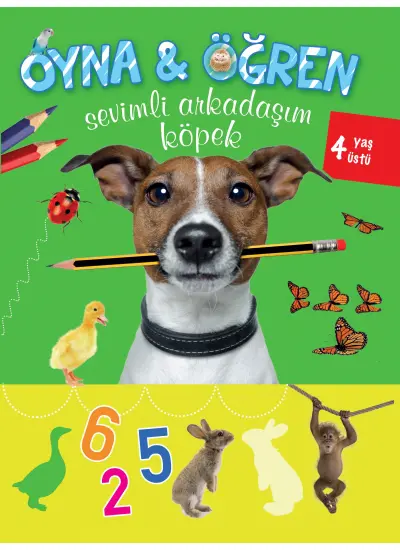 Oyna Öğren Sevimli Arkadaşım Köpek 4 Yaş Üstü  (4022)