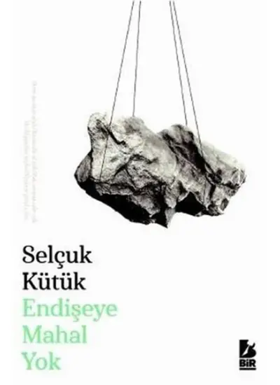 Endişeye Mahal Yok  (4022)