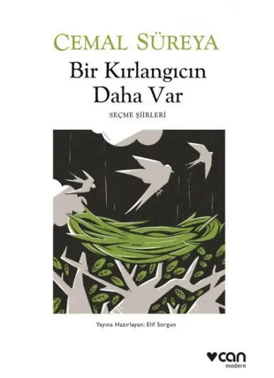 Bir Kırlangıcın Daha Var  (4022)