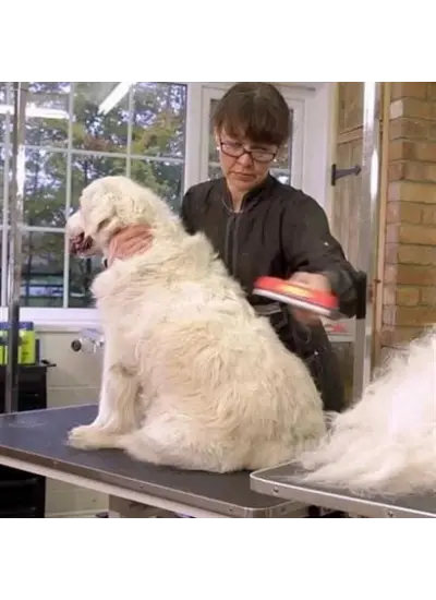 Uzun Tüylü Köpekler İçin Kolay Tarama Fırçası Temizlenebilir Çelik Tarak Tüy Toplayıcı Mediu