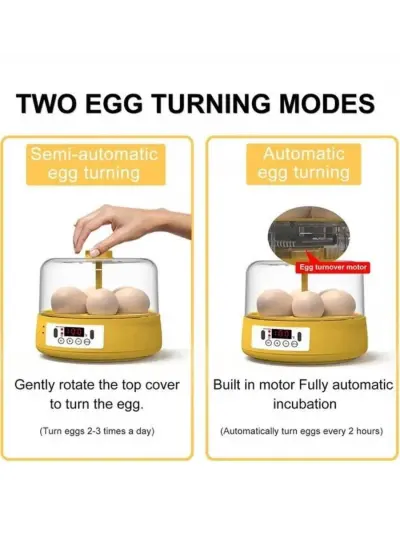 Mini Otomatik Ev Tipi Kuluçka: Elektrikli Tavuk Ve Kuş Kuluçka Makinesi 6 Yumurtalı Mx-6