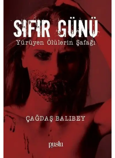 Sıfır Günü  (4022)