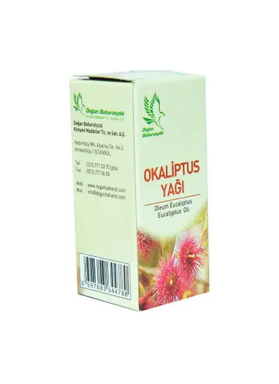 Okaliptus Yağı 20 cc