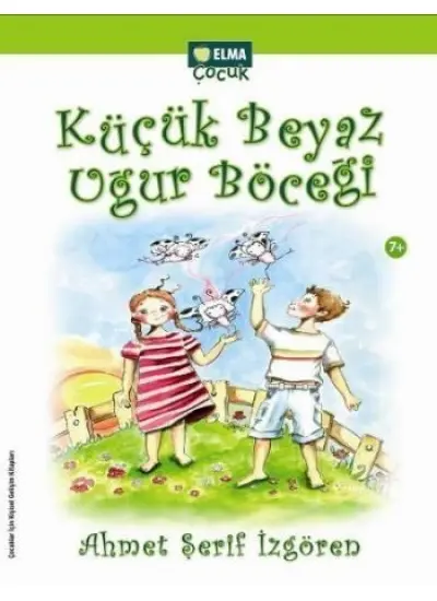 Küçük Beyaz Uğur Böceği  (4022)