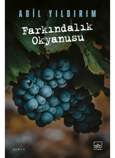 Farkındalık Okyanusu  (4022)