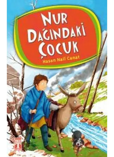 Nur Dağındaki Çocuk  (4022)