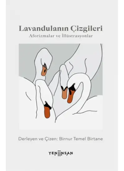 Lavandulanın Çizgileri  (4022)