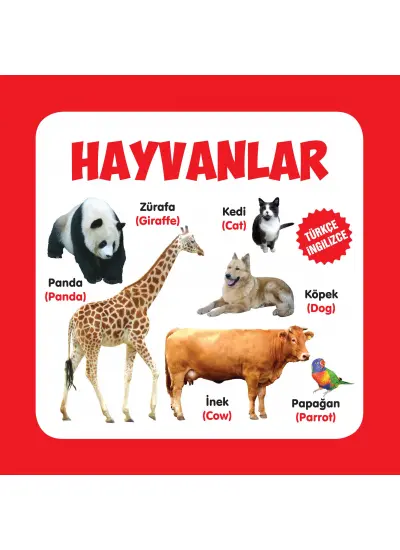 Hayvanlar Türkçe-İngilizce  (4022)