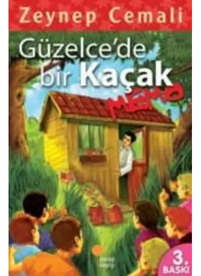 Güzelcede Bir Kaçak, Memo  (4022)