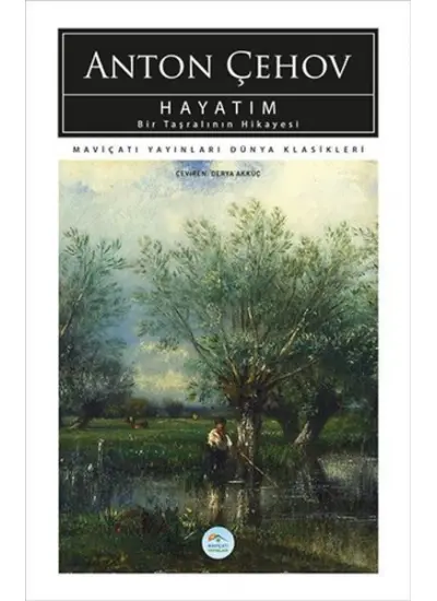 Hayatım Bir Taşralının Hikayesi  (4022)