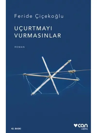 Uçurtmayı Vurmasınlar  (4022)