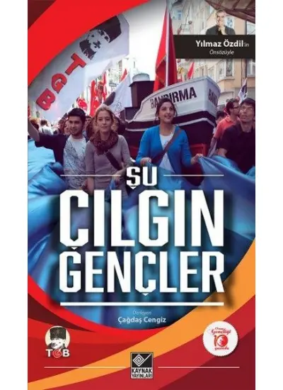 Şu Çılgın Gençler  (4022)