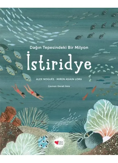 Dağın Tepesindeki Bir Milyon İstiridye  (4022)