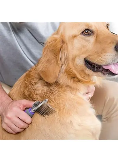 Düğüm Açıcı Pet Fırçası Emniyetli Uzun ve Çelik Dişli Kedi Köpek Tüy Kıtık Açma Tarağı