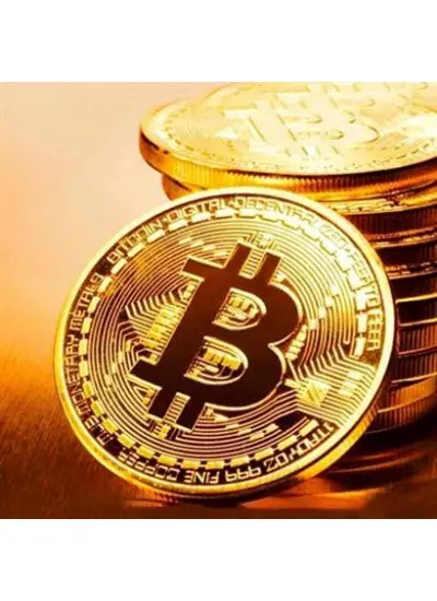 Bitcoin Madeni Hatıra Parası Madeni Bitcoin Hediye Sikke Para