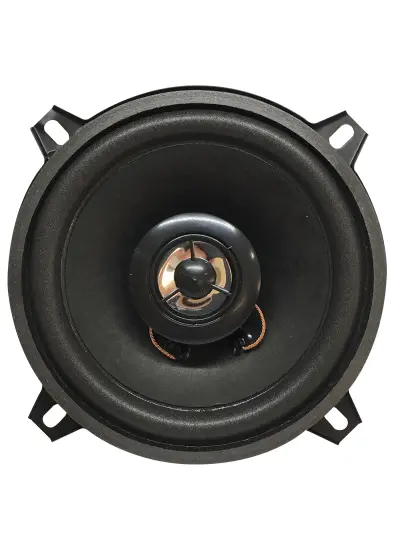 PW-13T 13 CM 4 OHM 100 WATT TWETEERLI TEKLİ HOPARLÖR