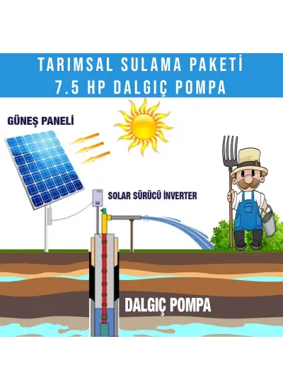 7.5HP Dalgıç Pompa Tarımsal Sulama Sistemi