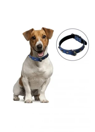 Ethab® Yumuşak Dokulu Deri Köpek Gezdirme Boyun Tasması (Large)
