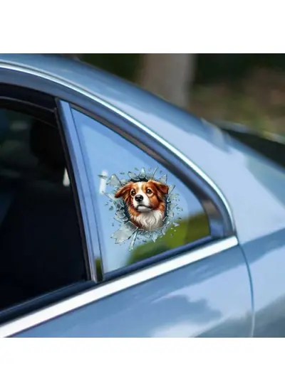 Fulcar Australian Shepherd Araç Stickerı