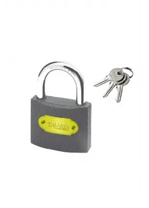 Asma Kilit Gri 20 Mm Royaleks-81716