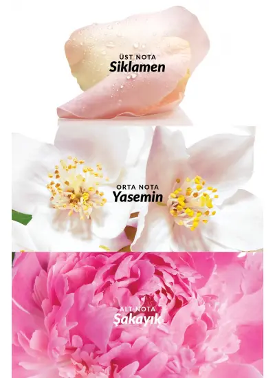 Avon Celebre Kadın Parfüm Edt 50 Ml.