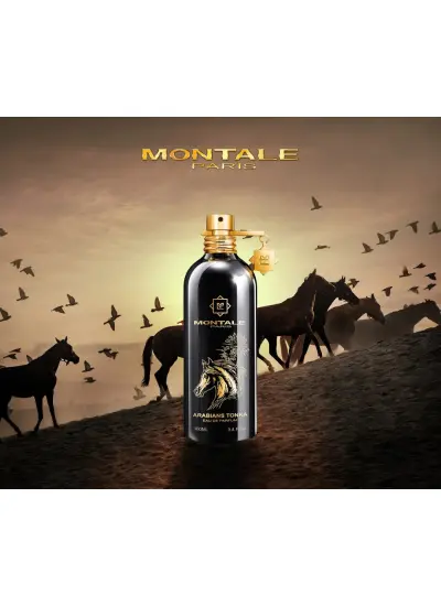 Montale Arabians Tonka Unisex edp 100ml