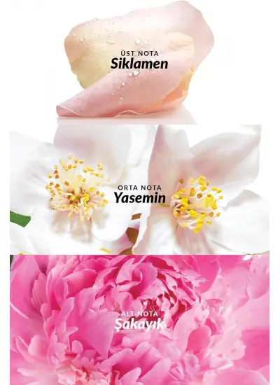 Avon Celebre Kadın Vücut Spreyi 100 Ml.