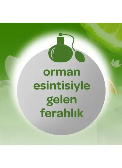 Dalin Orman Esintisi Kolonya 150 ml