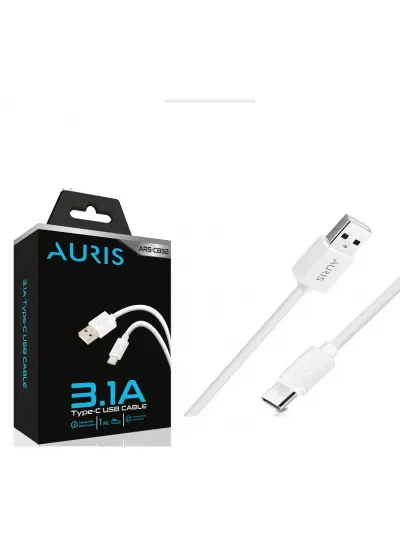 Aurıs CB32 2.1A Type-C 1m Kibrit Kutu Data/şarj Kablosu