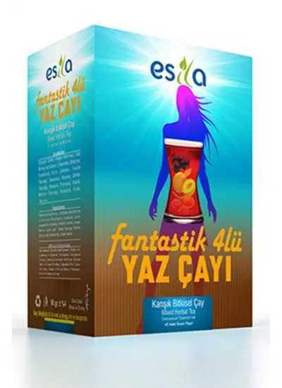 Fantastik 4 Lü Yaz Çayı 45 Li.