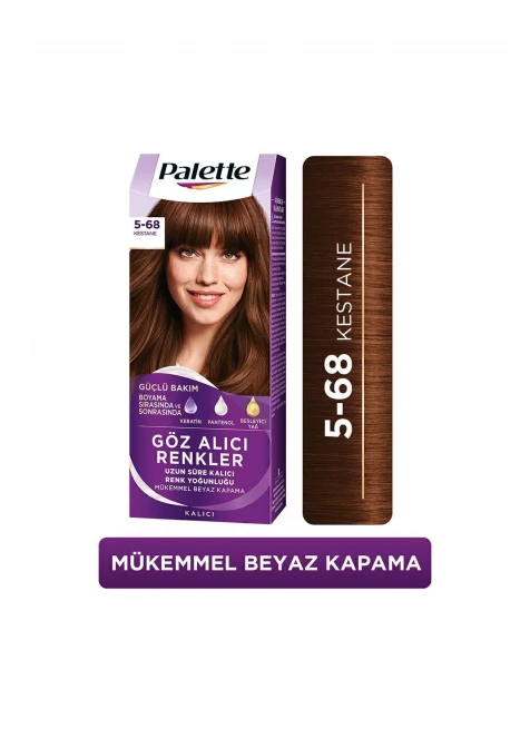  5-68 Kestane