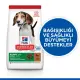 Hills Puppy Kuzu Etli Yavru Köpek Maması 2,5 Kg