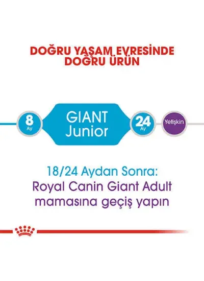 Royal Canin Giant Junior Dev Irk Yavru Köpek Maması 15 Kg