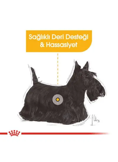 Royal Canin Mini Dermacomfort Yetişkin Köpek Maması 3 Kg