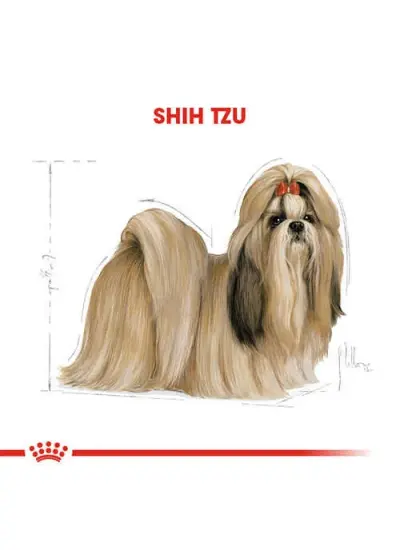 Royal Canin Shihtzu Yetişkin Köpek Maması 1,5 Kg