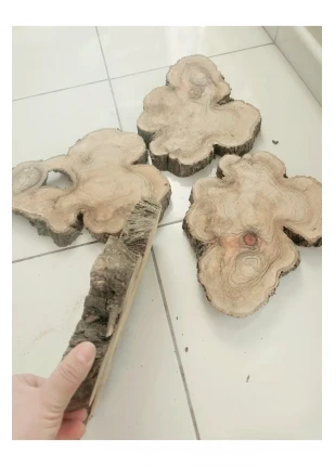 10 dilim epoksi dilim zeytin 3,5 cm kalınlık 35 cm uzunluk